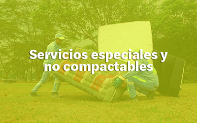 Servicios especiales y no compactables